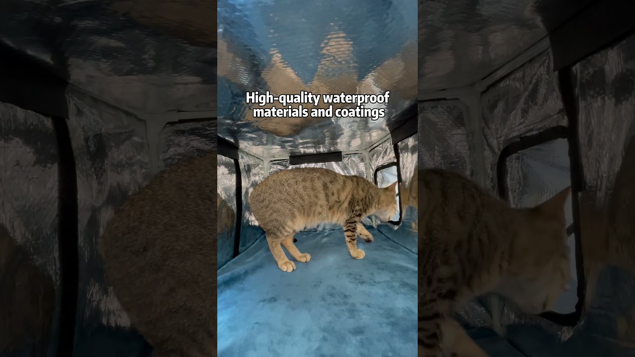 A heated cat house = life-saving warmth. 🐱❤️