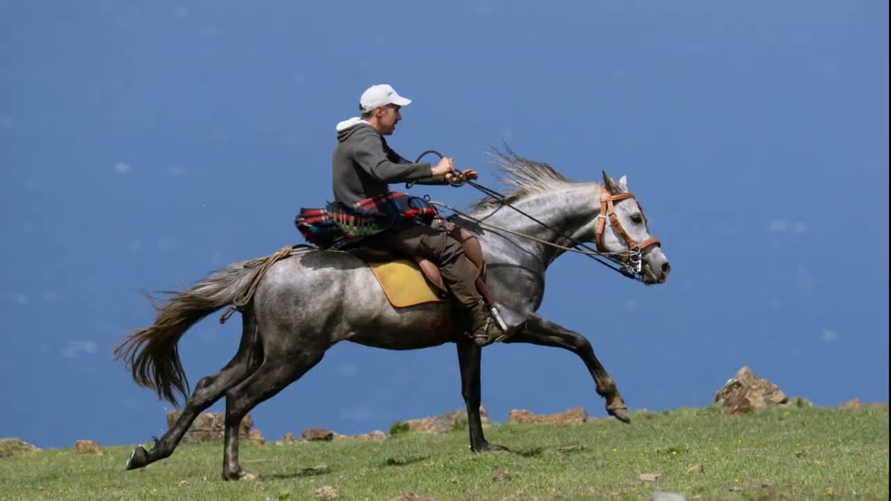 Rapa das Bestas A Capelada.  50 ANIVERSARIO