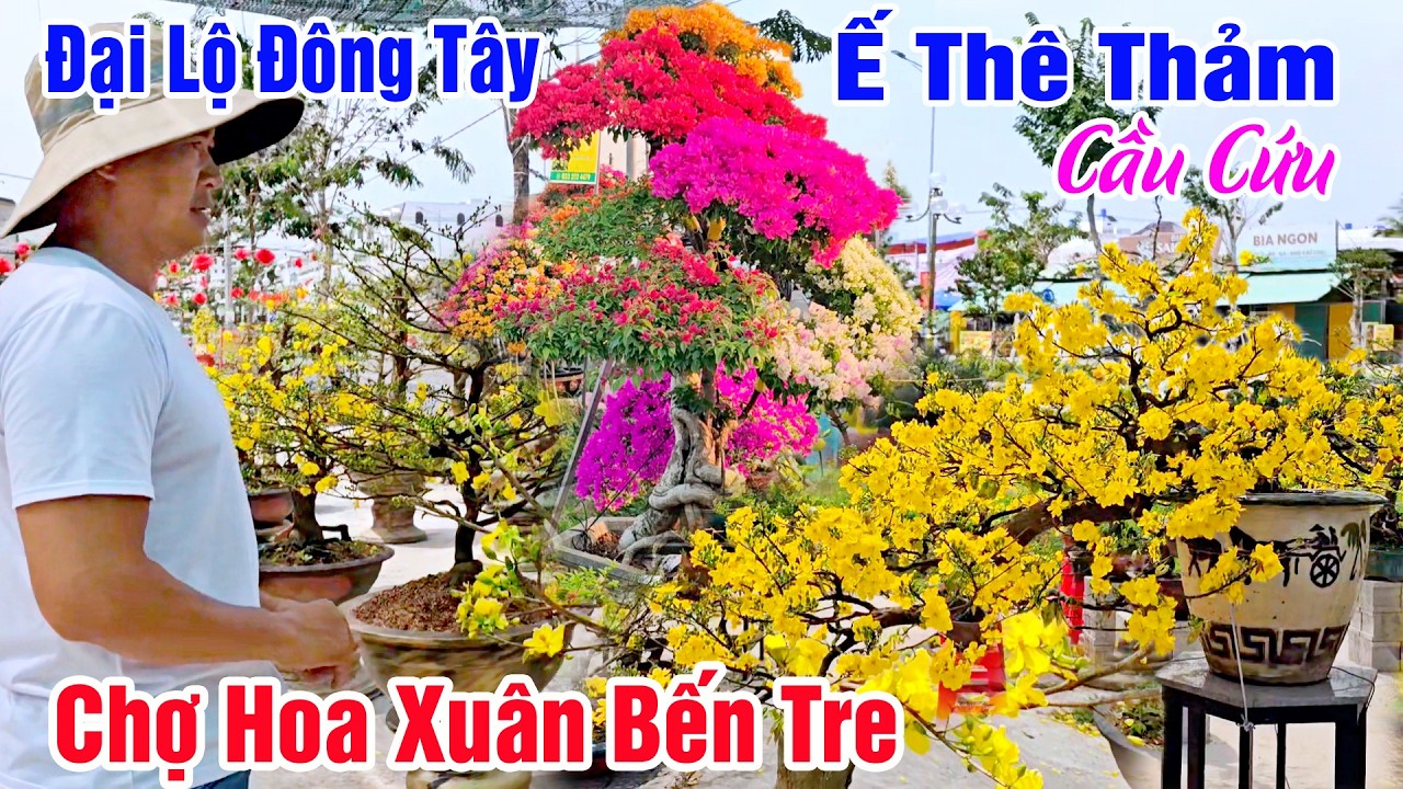Chợ Hoa Xuân Bến Tre Đại Lộ Đông Tây 27 Tết - Người Dân Cầu Cứu Chợ Vắng Hoe