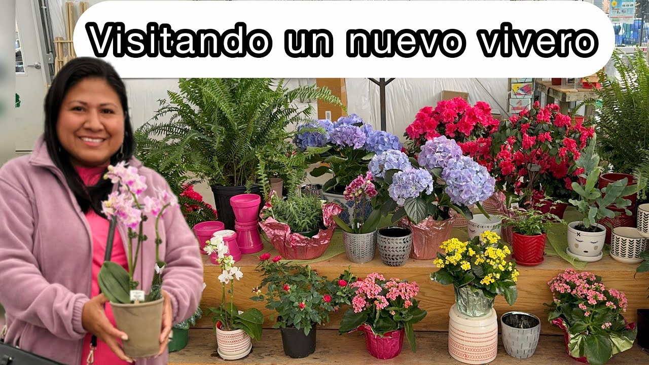 VISITANDO UN VIVERO Este no lo conocía y encontré plantas muy bonitas
