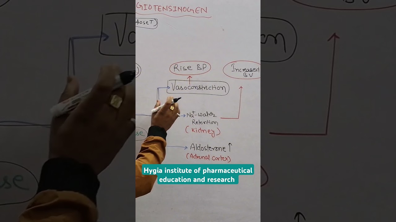 Angiotensin II : A potent vasoconstrictor 