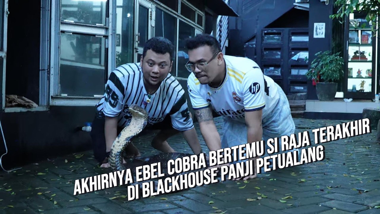 AKHIRNYA EBEL COBRA BERTEMU RAJA TERAKHIR GARAGA! DI BLACKHOUSE PANJI PETUALANG