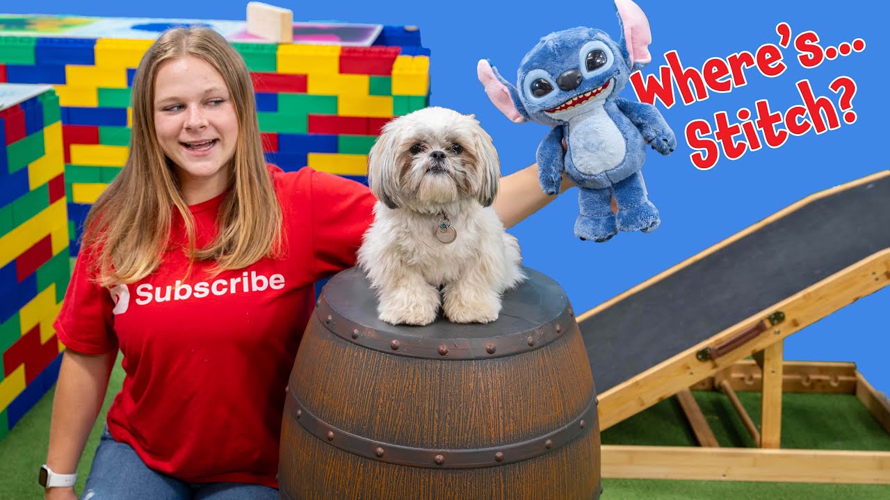 Asssitant and Waffles Locate Lilo And Stitch in the Giant Lego Maze