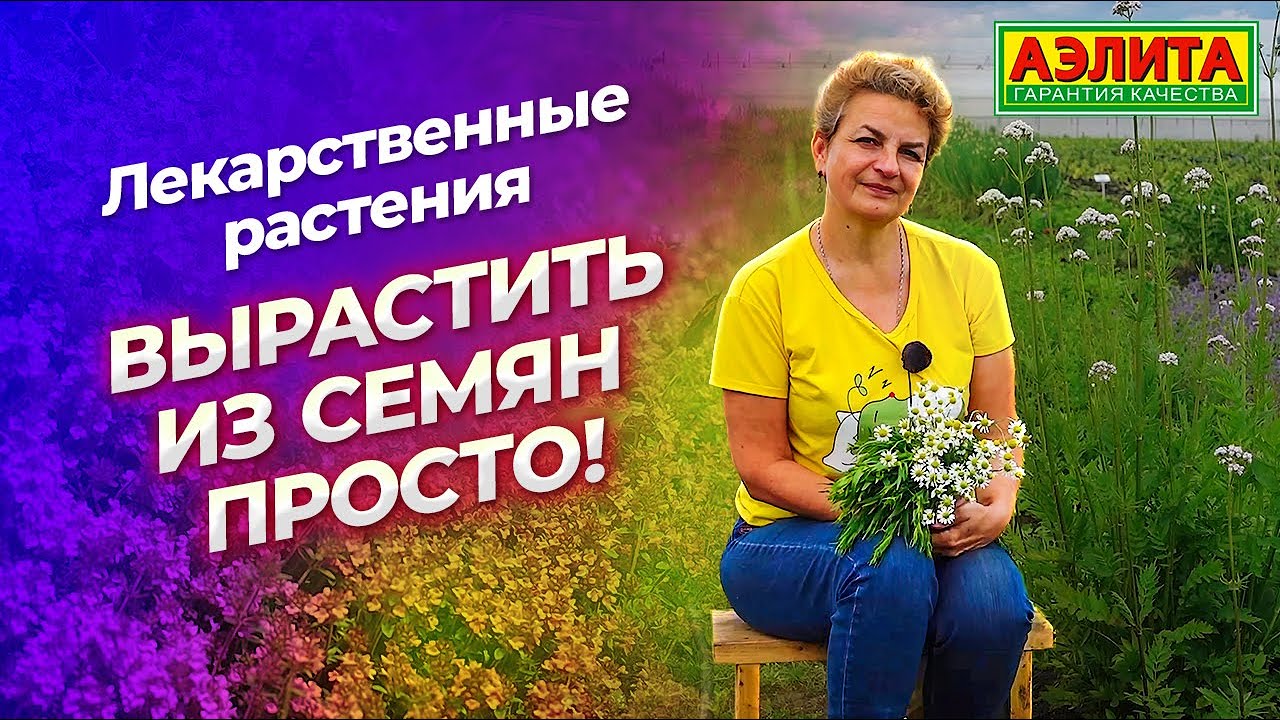 ЛЕКАРСТВЕННЫЕ РАСТЕНИЯ. Обзор семян от Наталии Петренко.