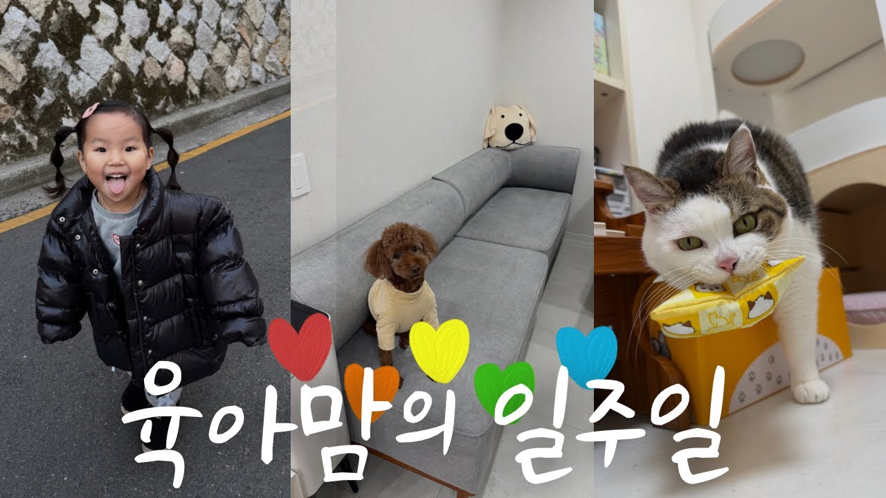 [#28] 42개월 딸과 보내는 일주일 브이로그(+반려견,반려묘)
