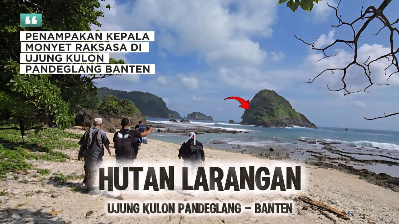 UJUNG KULON VIRAL..! Belusukan Memasuki Kawasan Hutan Larangan UJUNG KULON Yang Penuh Misteri