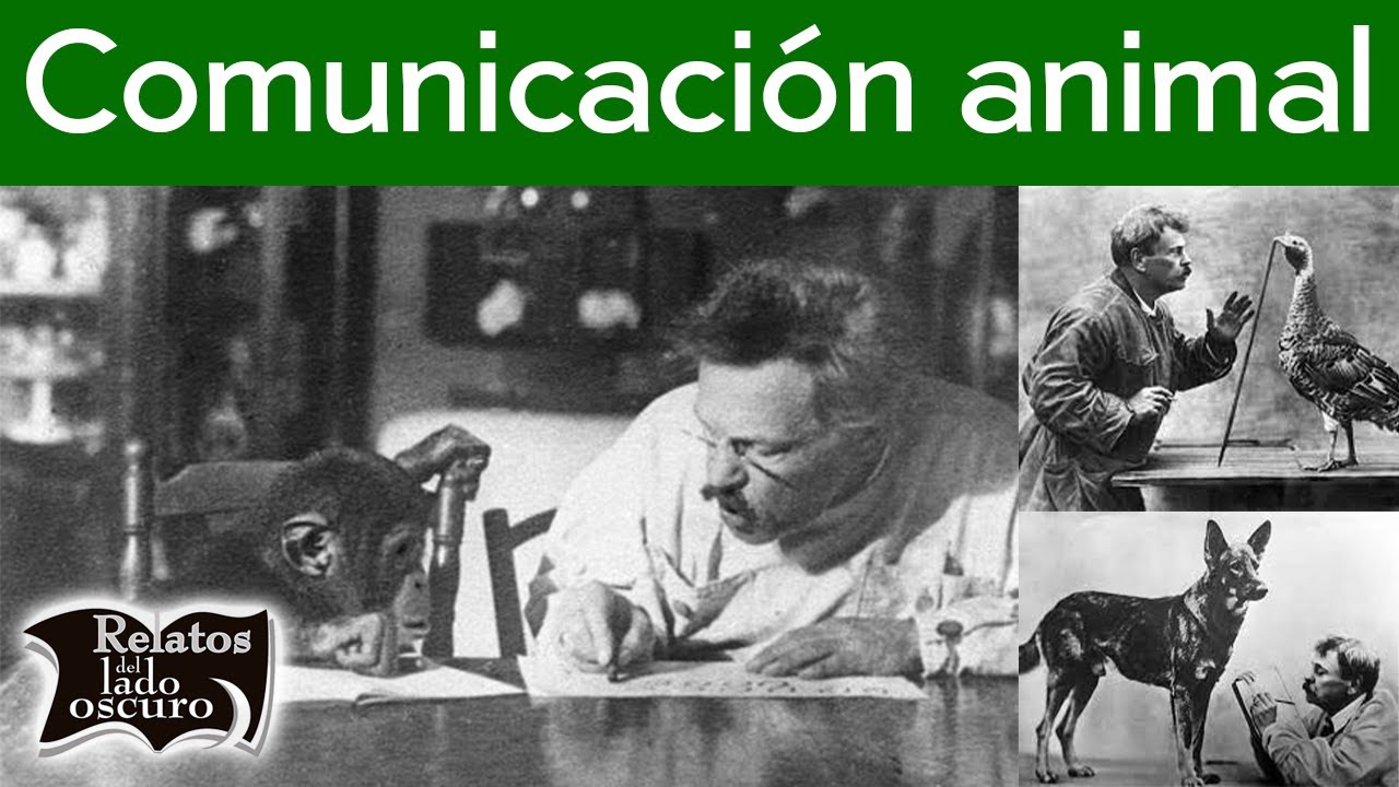 Comunicaci&oacute;n animal | Relatos del lado oscuro