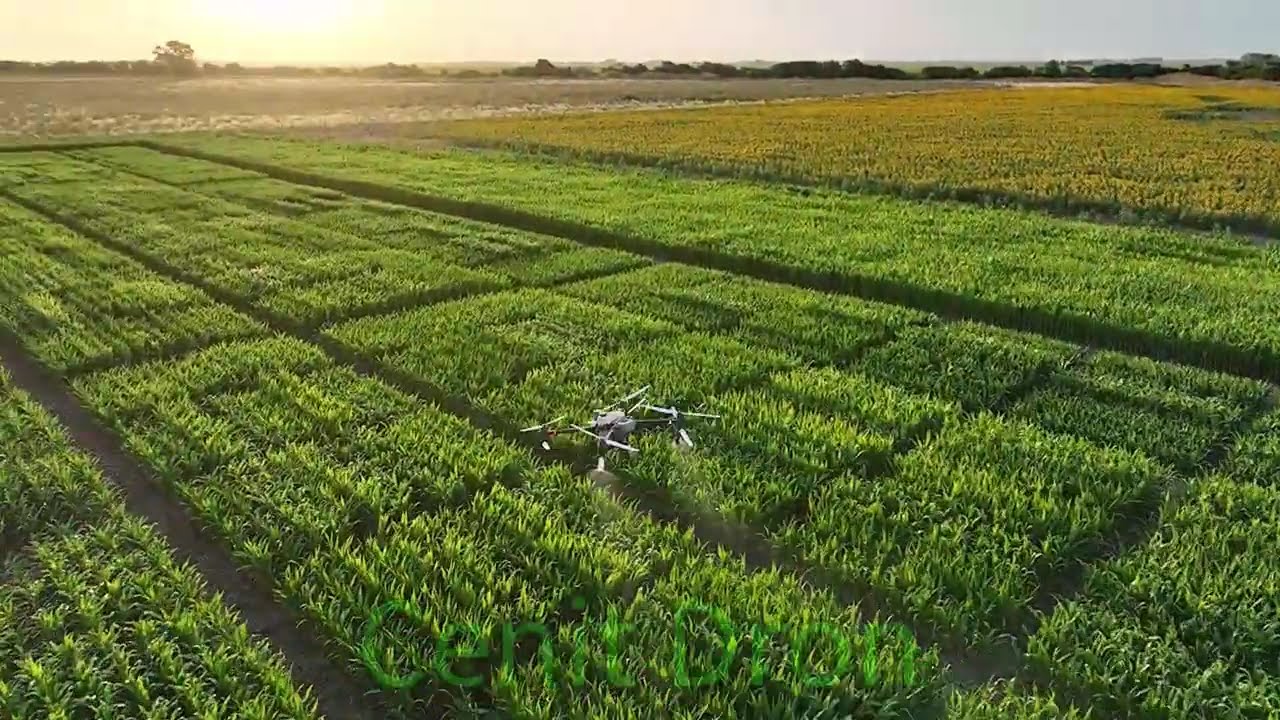 Aplicación de Precisión