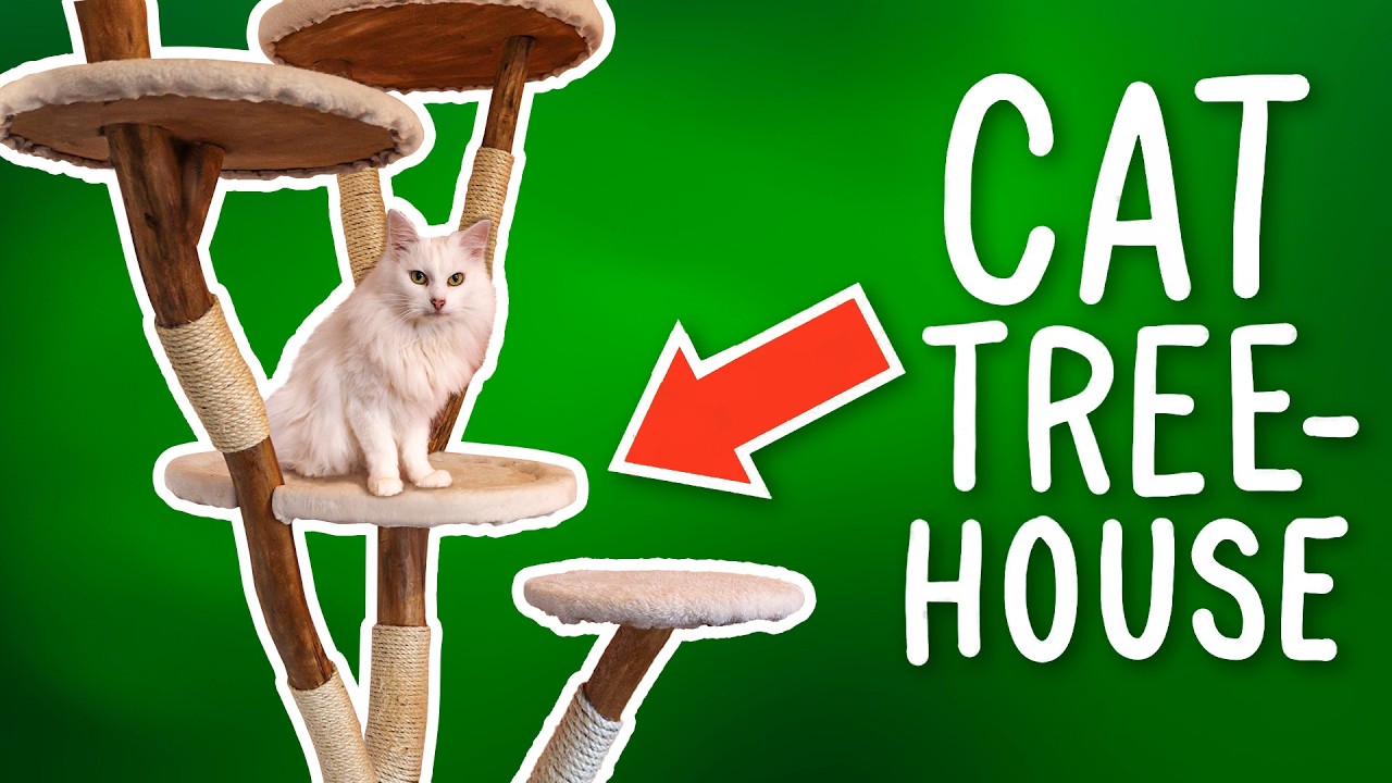 I build a DIY Natural Cat Tree From REAL Wood - In Just 3 DAYS