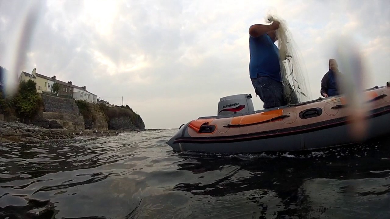 Using a cast net  to catch whitebait and mackerel in New Quay Wales October 2014