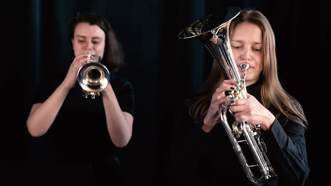 Brass Band Sklepučini ensemble - Can't Help Falling In Love