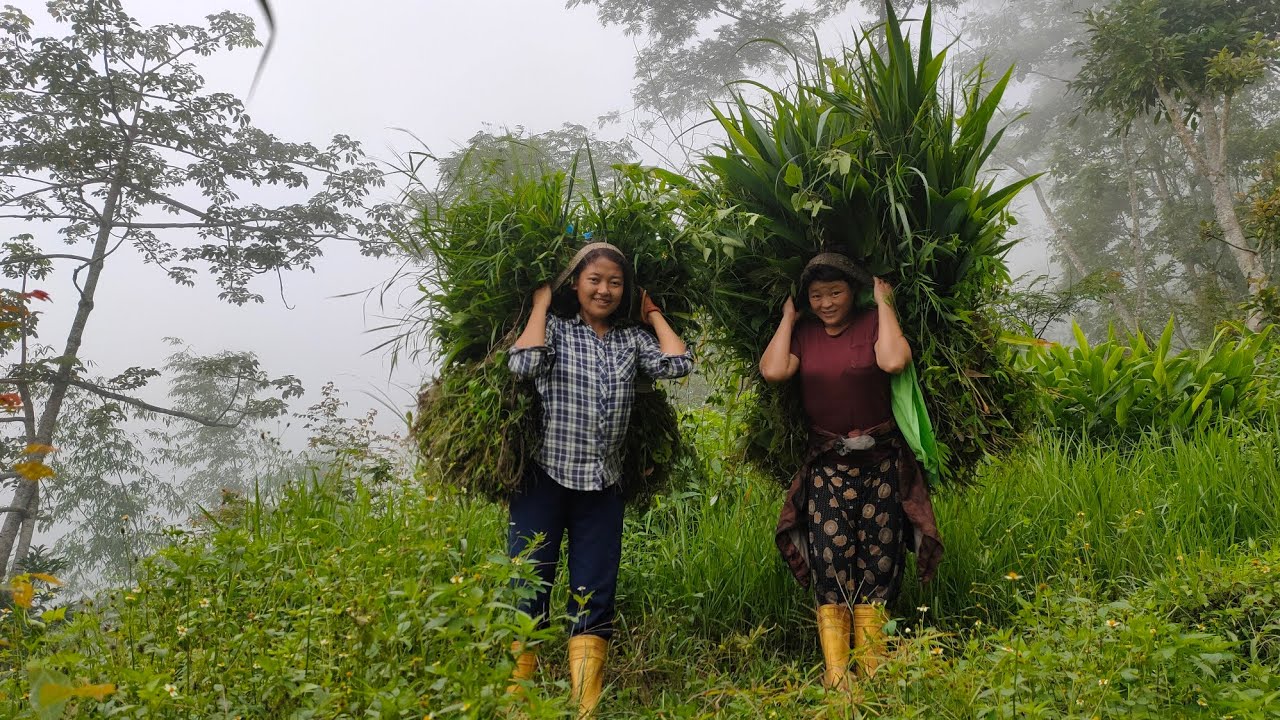 Grass cutting 😄/ gaule hami ani hamro ghashi jiwan😍/ village life of Nepal