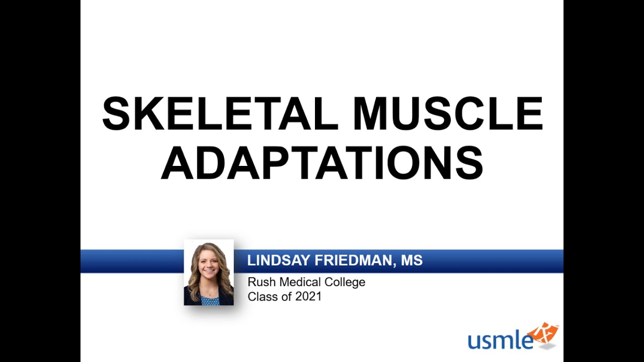 USMLE-Rx Express Video of the Week: Skeletal Muscle Adaptions