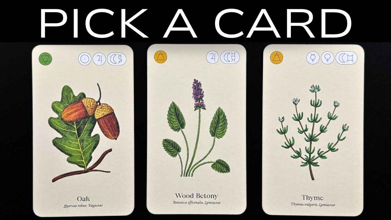 🌛🌑🌜 GODDESS HECATE HAS A MESSAGE FOR YOU AT THE CROSSROADS 🌛🌑🌜 PICK A CARD READING