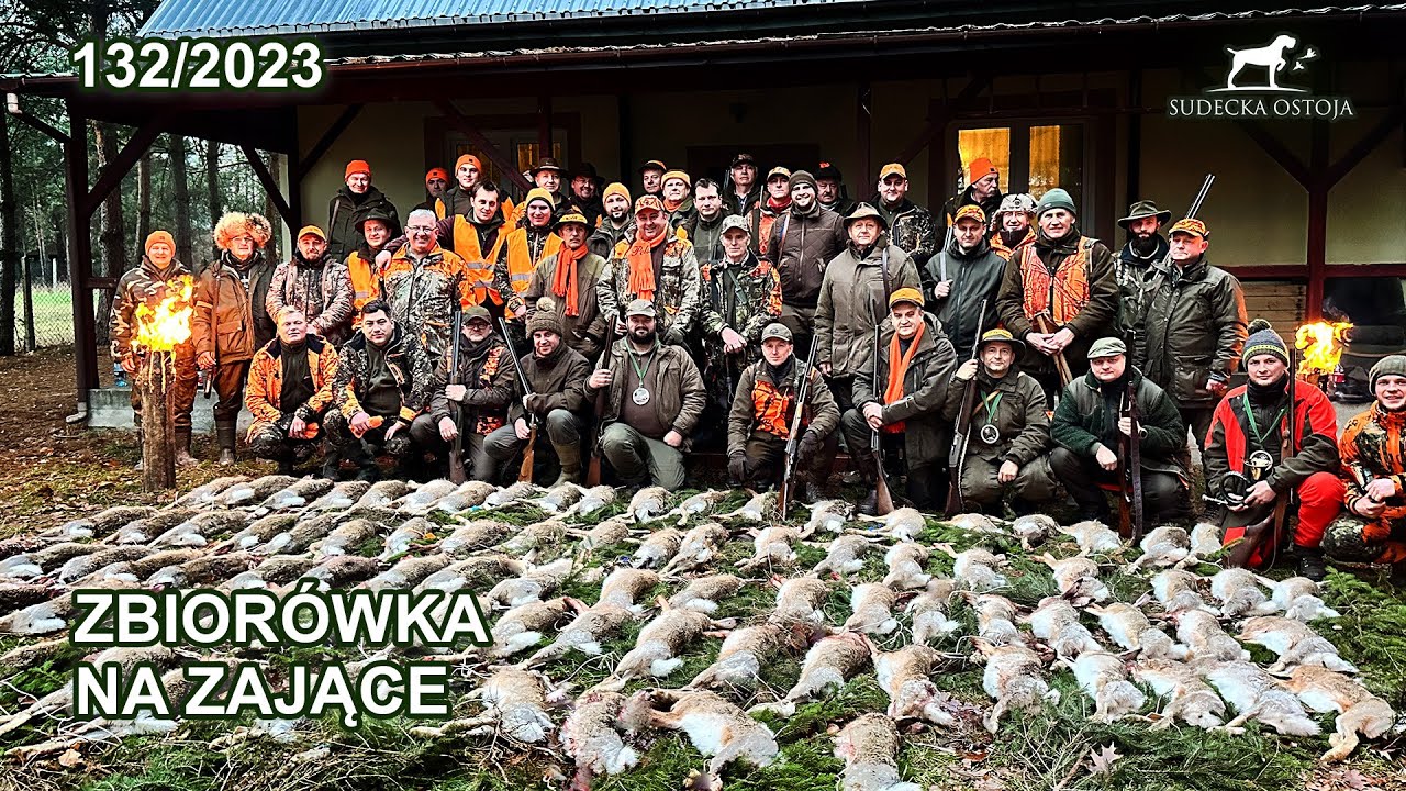SUDECKA OSTOJA 132/2023 Grójeckie Zające - polowanie na zające hare Hasenjagd chasse au lièvre