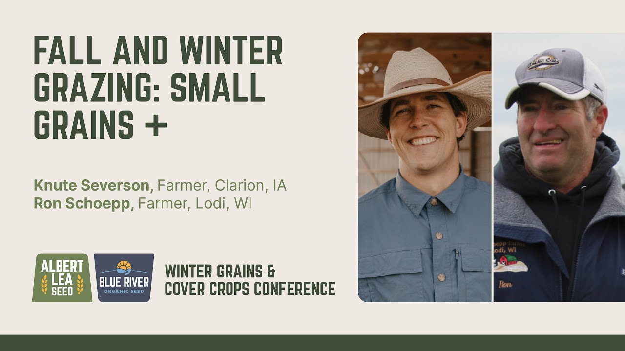 Fall and Winter Grazing: Small Grains + (Part 1)