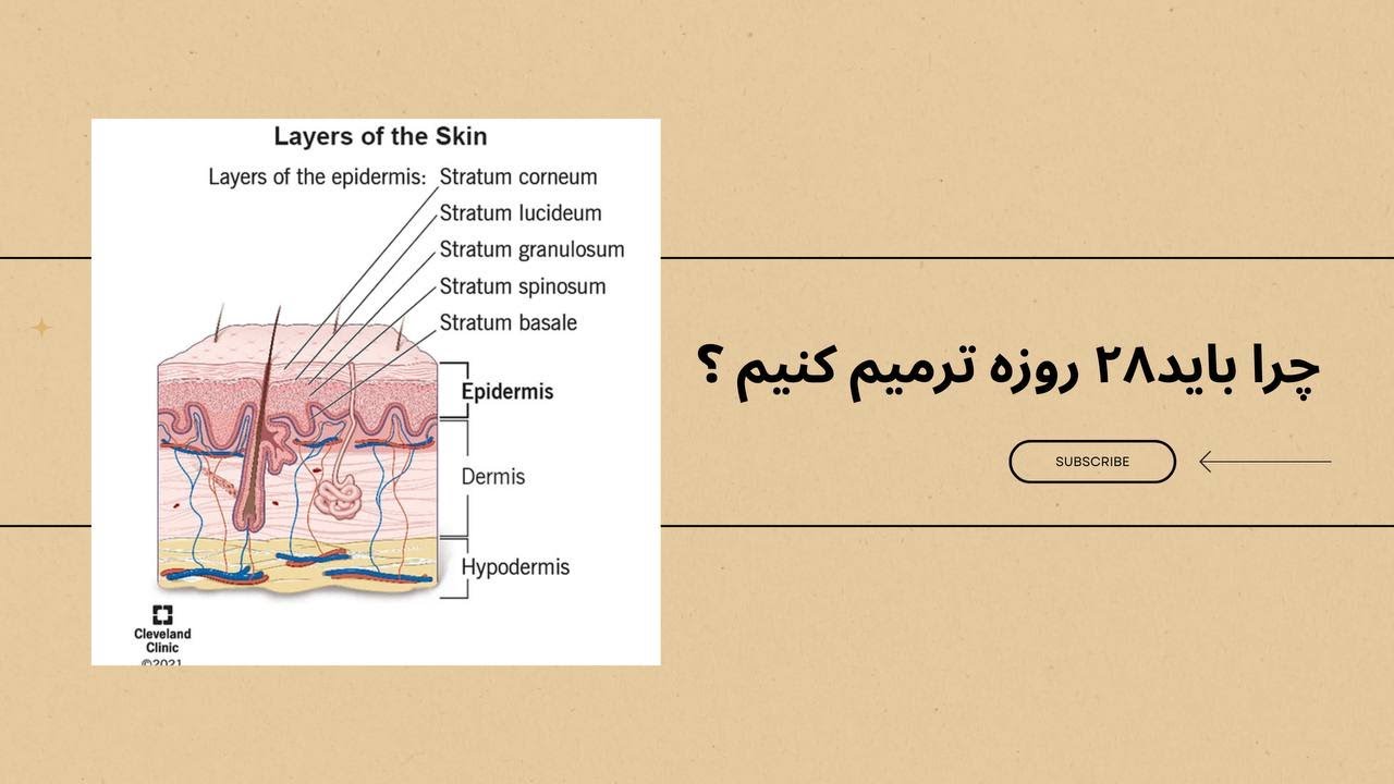 Nail Skin Layers Explained | Cuticle Anatomy & Safe Manicure