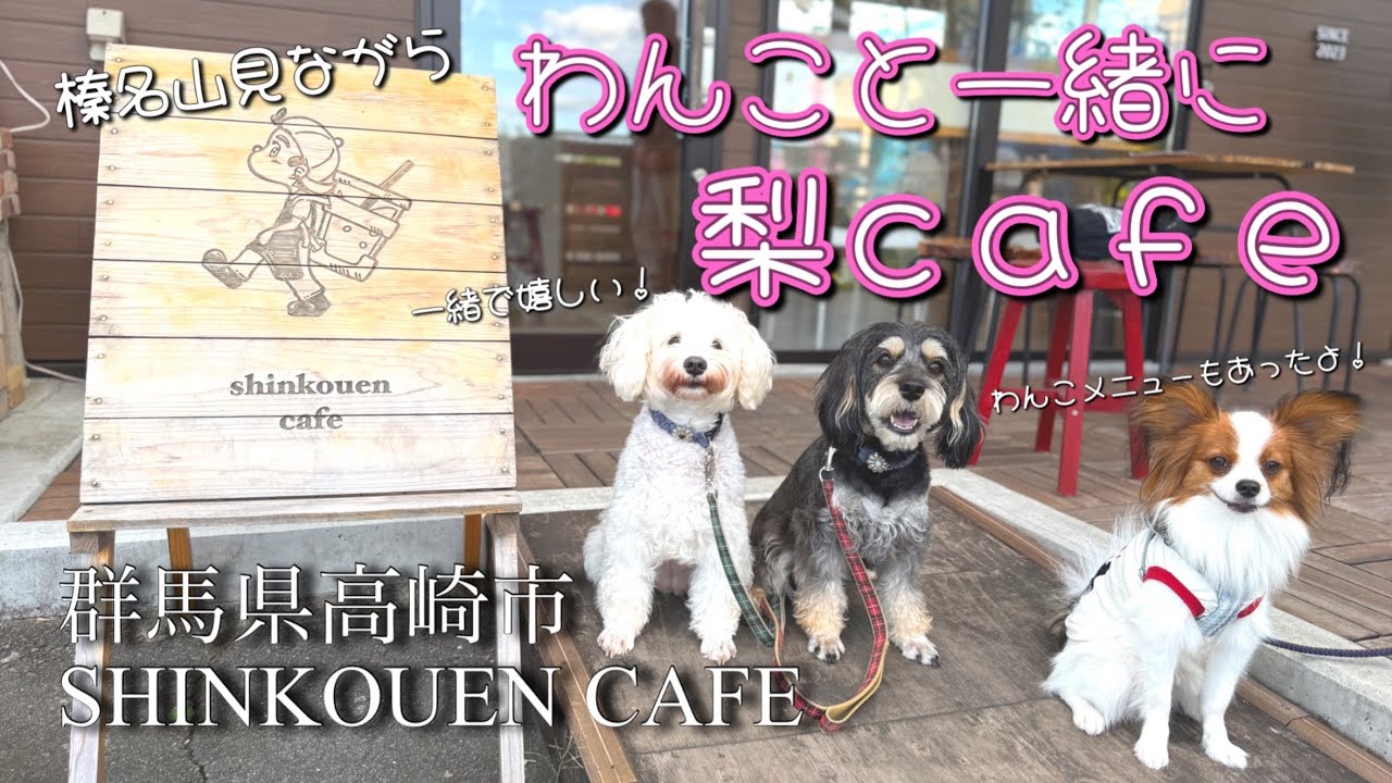 【シュナウザー×梨園カフェ】犬連れで行ける！素敵なカフェで梨を満喫🍐
