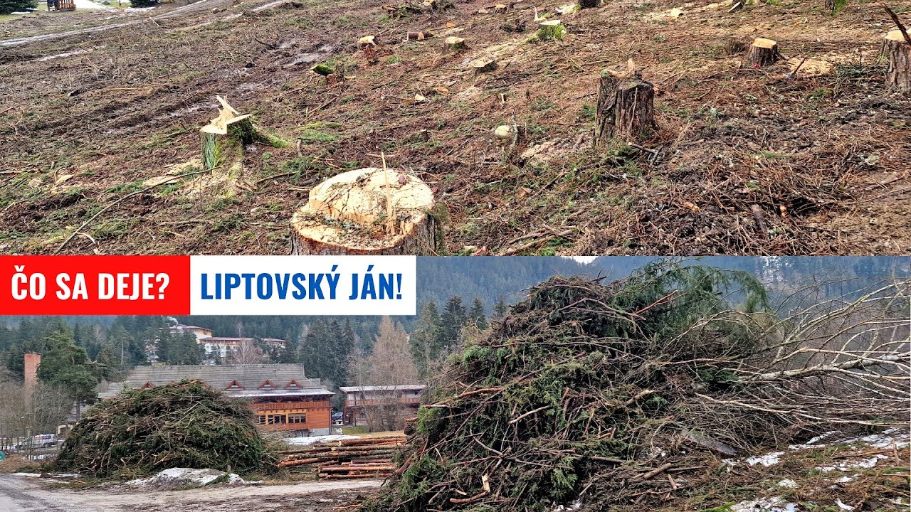 LIPTOVSKÝ JÁN - MIZNE LES  A ČO TEN SCHÁTRANÝ VLEK?