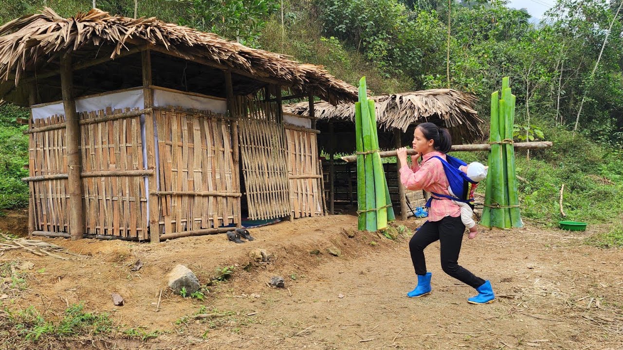 Single mother harvests giant mint plants to sell – grow peanuts and corn – a wild life.