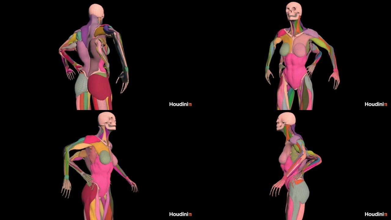 Houdini 21 OTiS Simulation (@houdini3d )