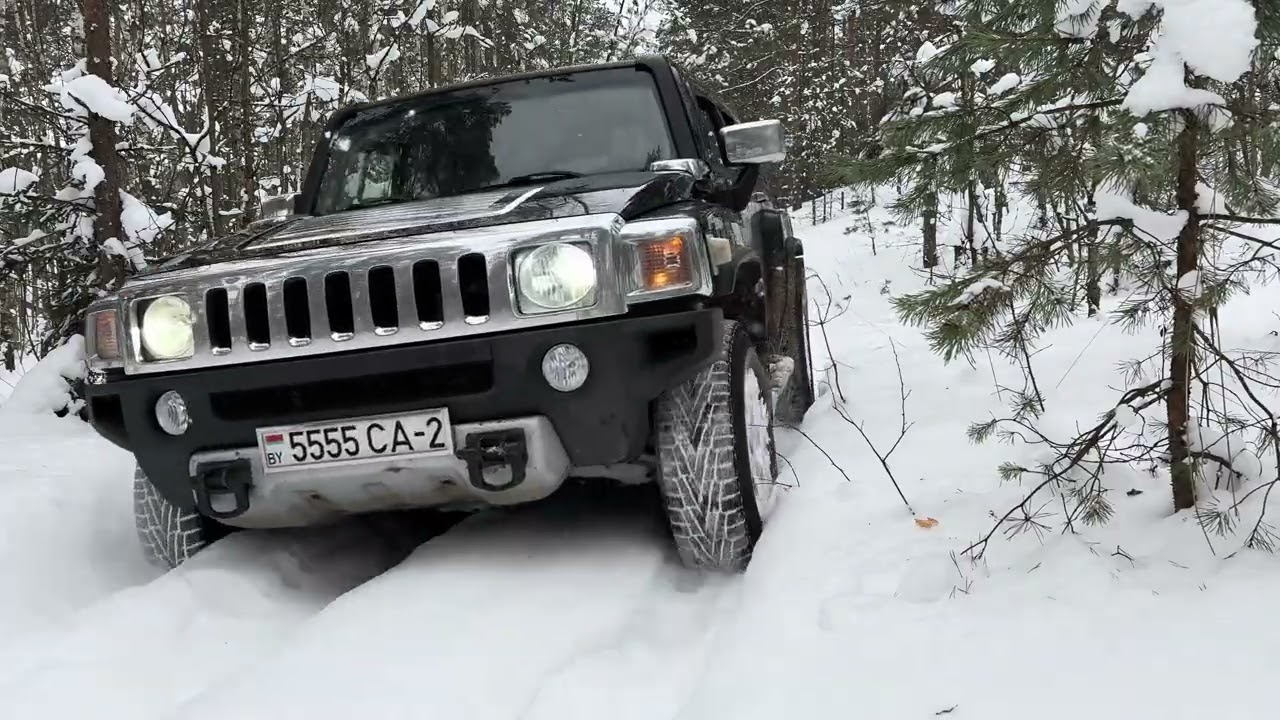 Прыгажосць снежных пейзажаў у лесе марозным зімовым днём ! 🥶🌲