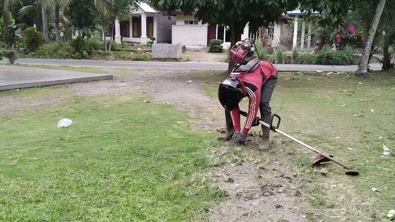 Mesin Potong Rumput Ini Bikin Kerja Jadi Super Cepat! #mesinpotongrumput #bersihbersih #potongrumput