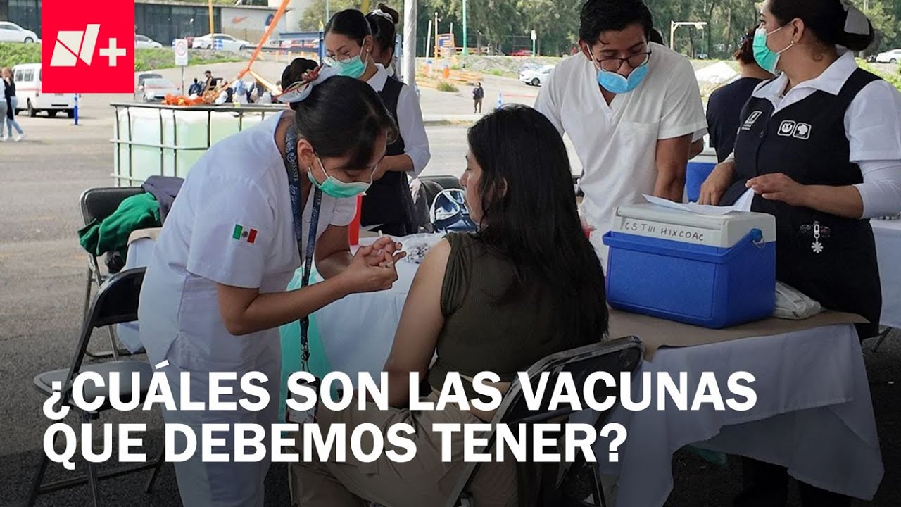 Campa&ntilde;a de vacunaci&oacute;n 2025-2026: Esquemas para ni&ntilde;os y adultos - Despierta