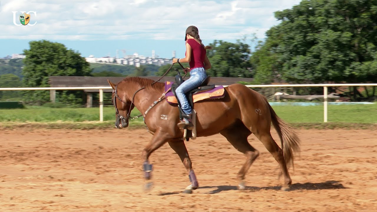Como fazemos o aquecimento de um cavalo de tambor