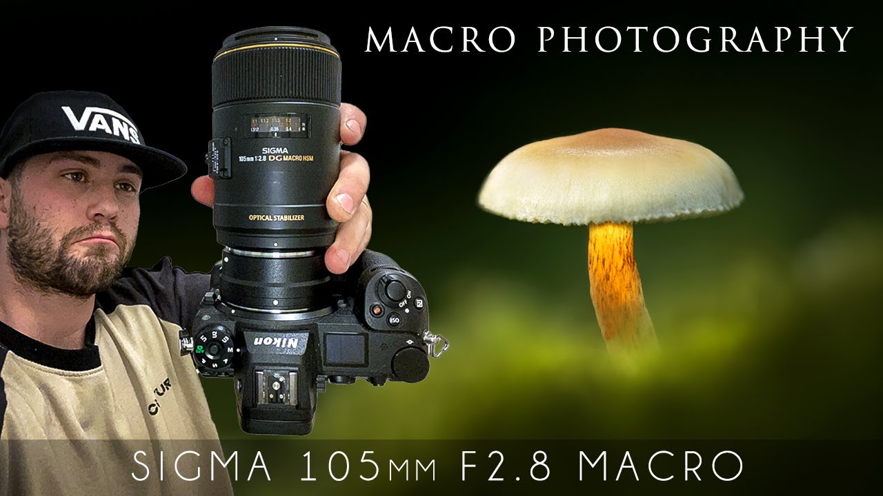 Macro Photography with the Sigma 105mm F2.8 EX DG Marco (Irish Wildlife)