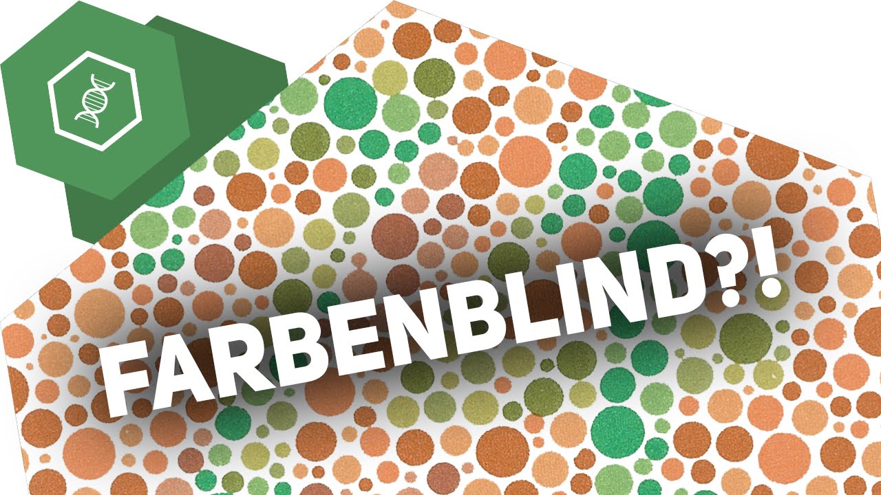 Was sehen Farbenblinde?