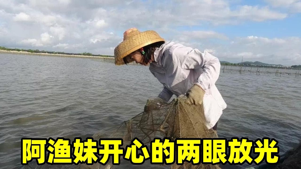 拉起地笼的那一刻，阿渔妹两眼发光狂喊好大，难道真的要发财了【阿渔妹】