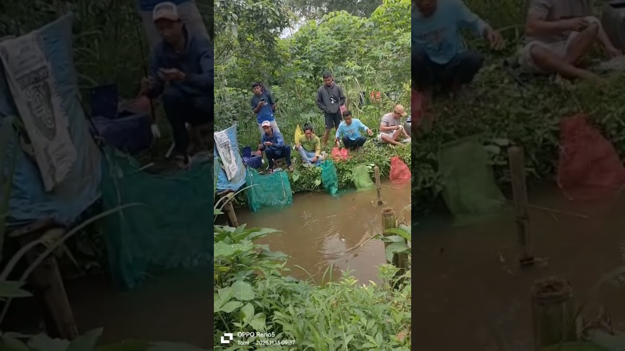 masih di mancing borongan
