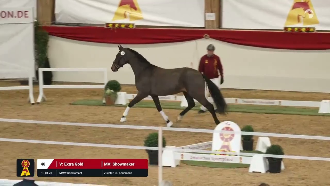 Lot 48 v. Extra Gold / Showmaker