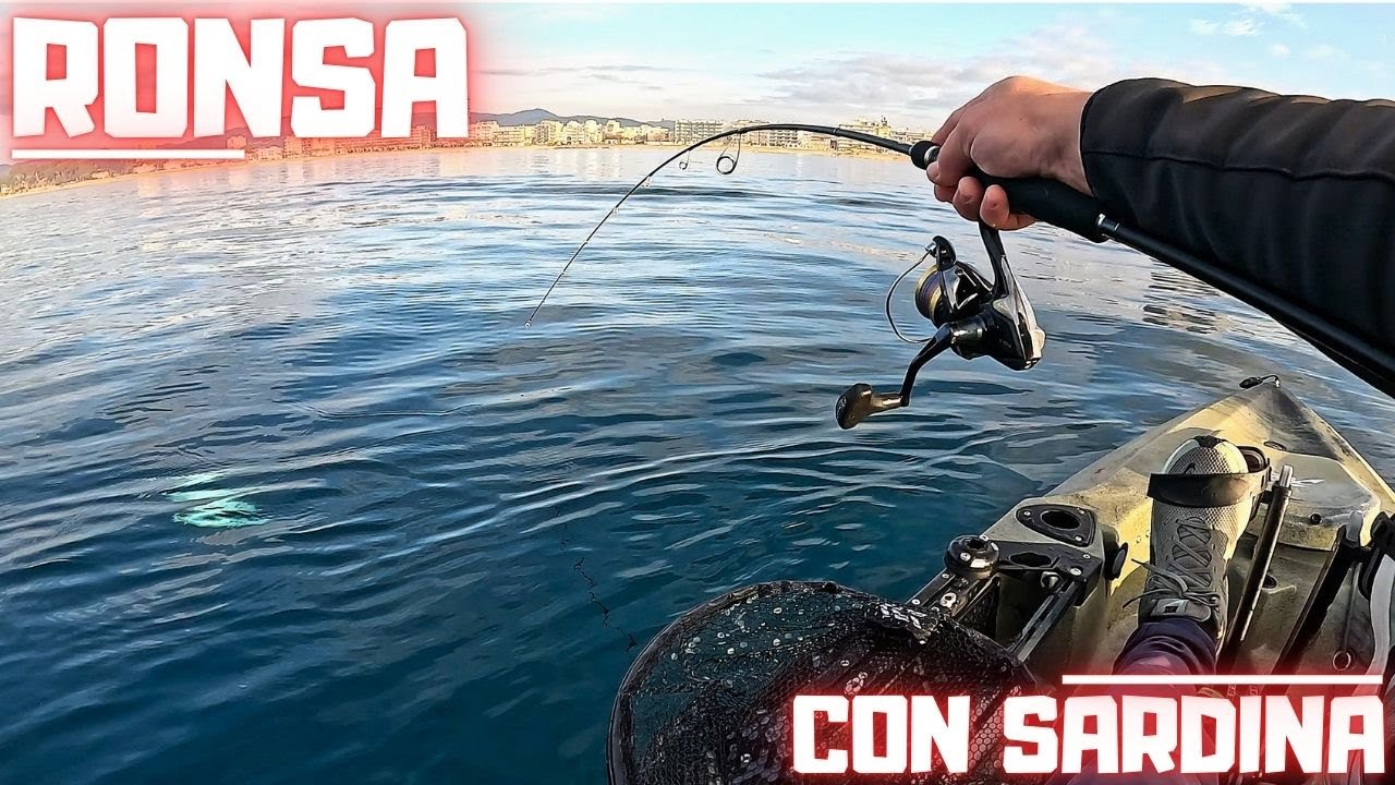 Pesca con sardina desde kayak. Dos horas a la ronsa.