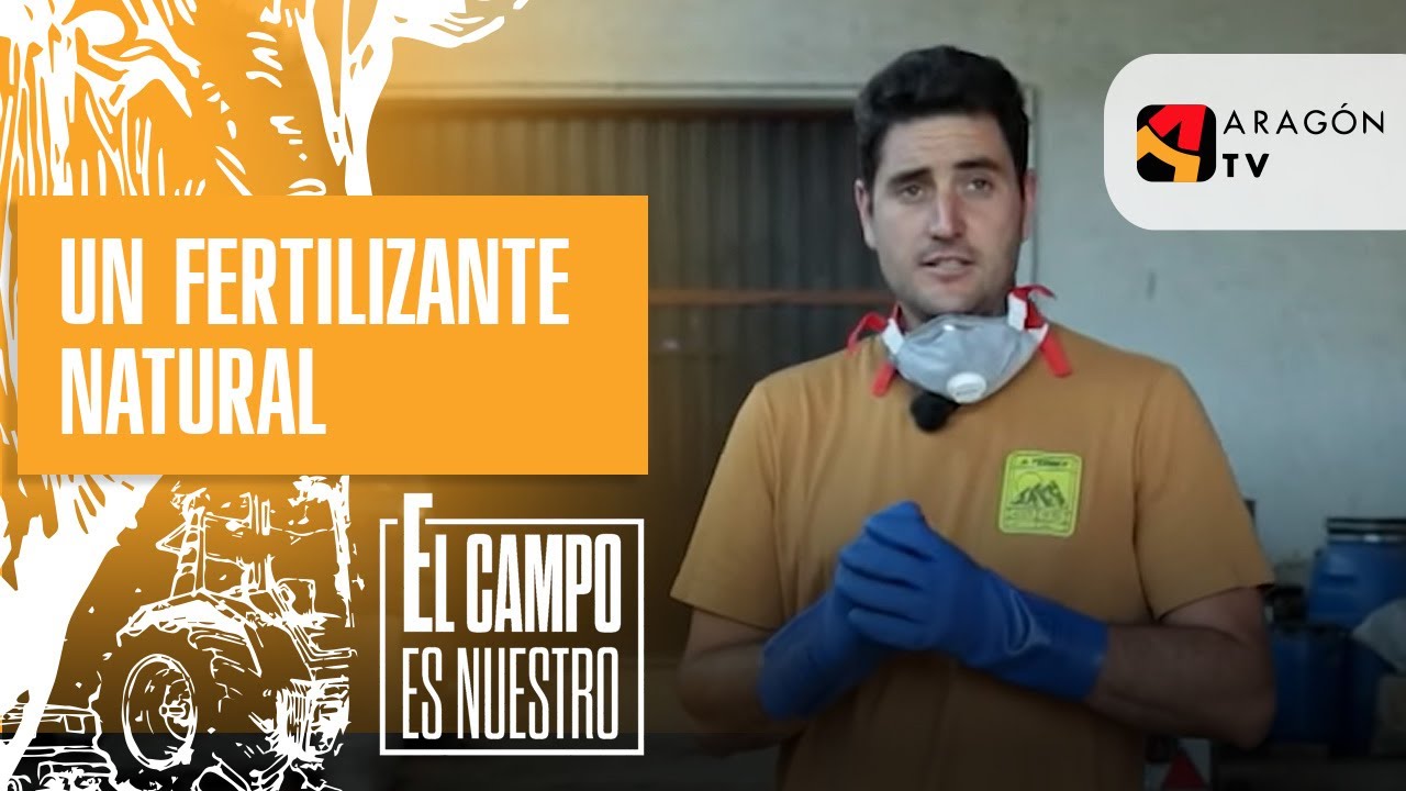 La lana, un fertilizante natural
