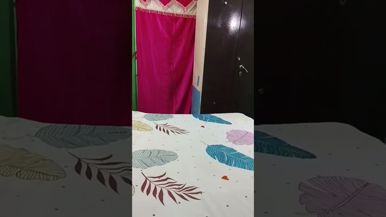 Cat Family  is live