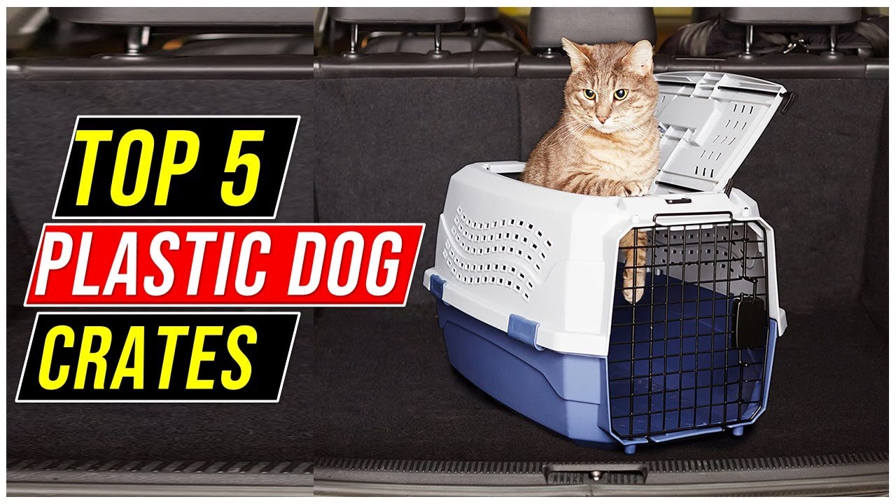 ✅Best Plastic Dog Crates of 2023 – Reviews, Top Picks & Guide