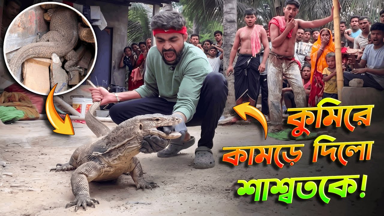 কুমীর ধরতে গিয়ে কামড় খেলাম! বাড়ির ভিতরে কুমির ঢুকলো! Big Lizard Rescue Operation #rescue #lizard