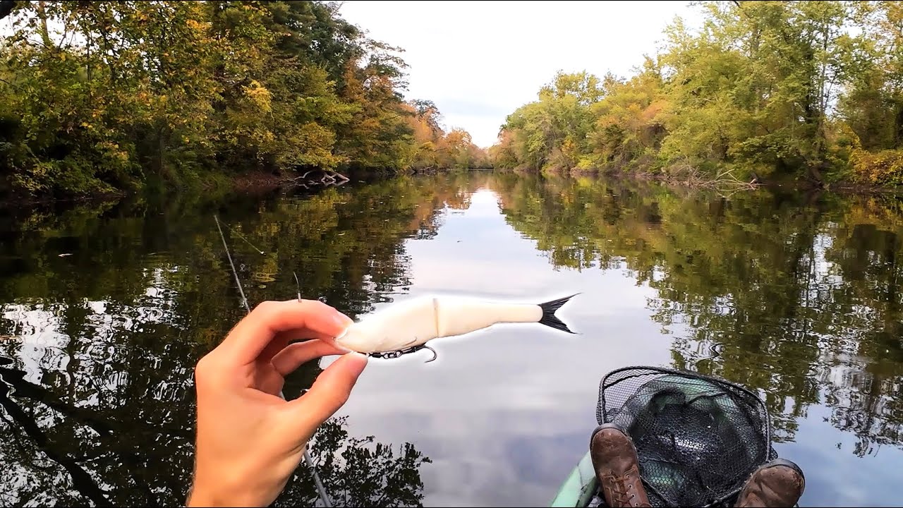 Can a $9 Glidebait Find Fall Bass?