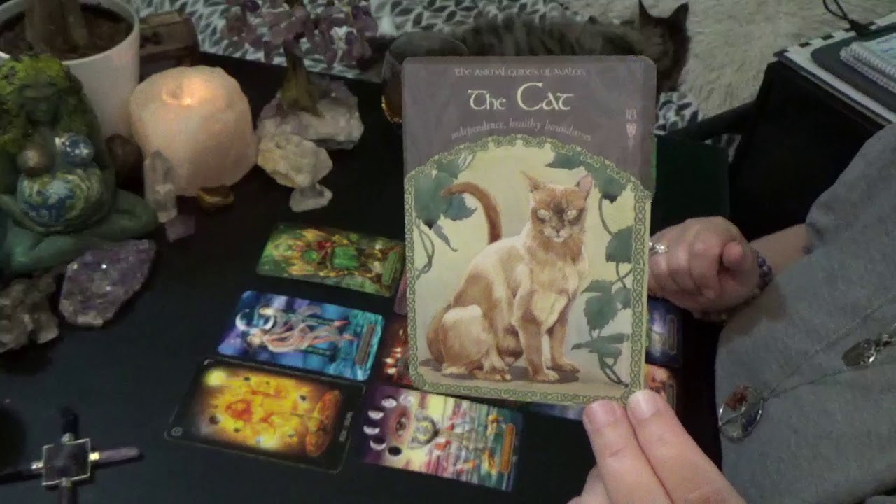 LEO MAY 2020 