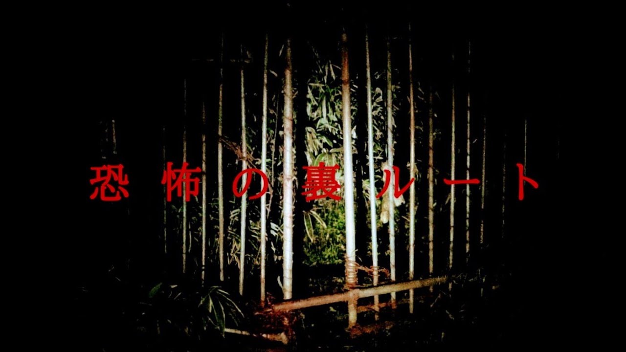 滋賀県心霊スポット　多羅尾処刑場　処刑後の刀を洗っていた言伝えがある川を通る　恐怖の裏ルート