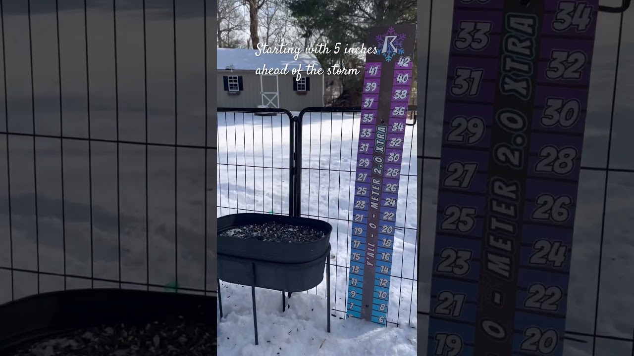 Current set up & we wait 💙 