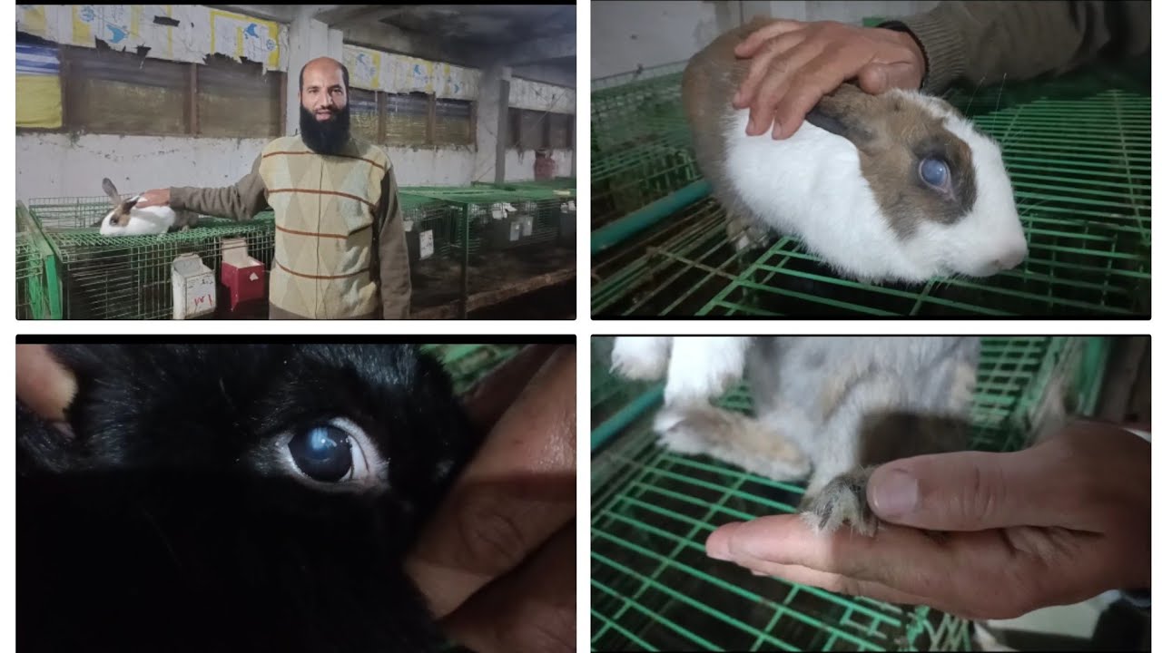 هنتعرف على امراض تسببها بعض الديدان وأمراض وراثيه نادره (146)