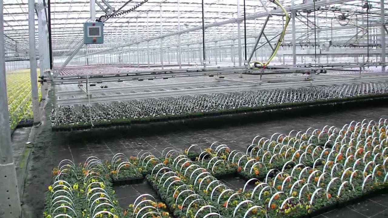 Kwekerij Wouters Ens