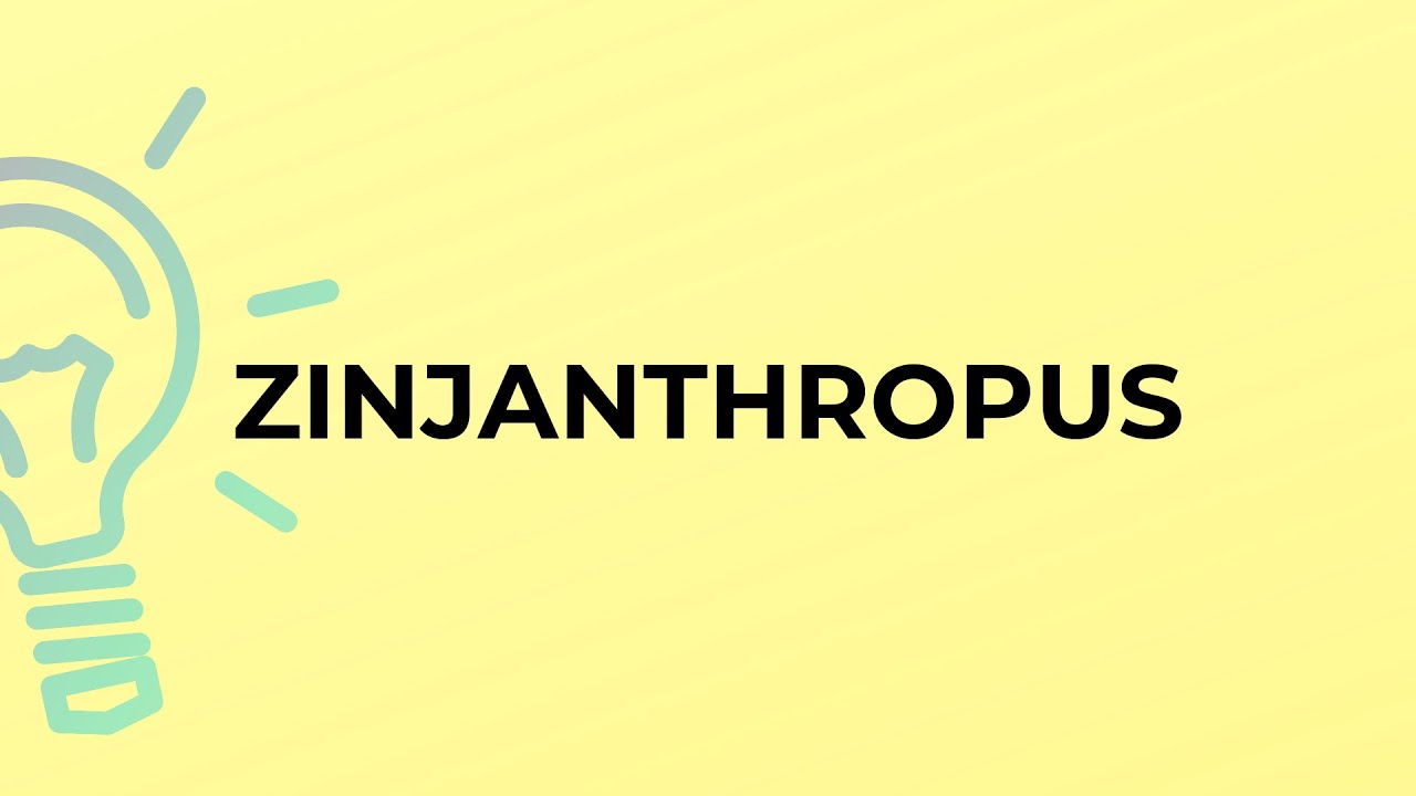 What is the meaning of the word ZINJANTHROPUS?