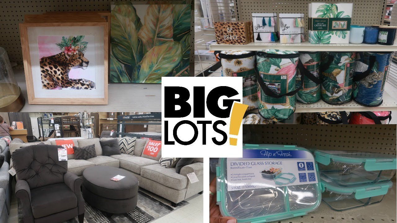 BIG LOTS* NEW FINDS!!! COME WITH ME