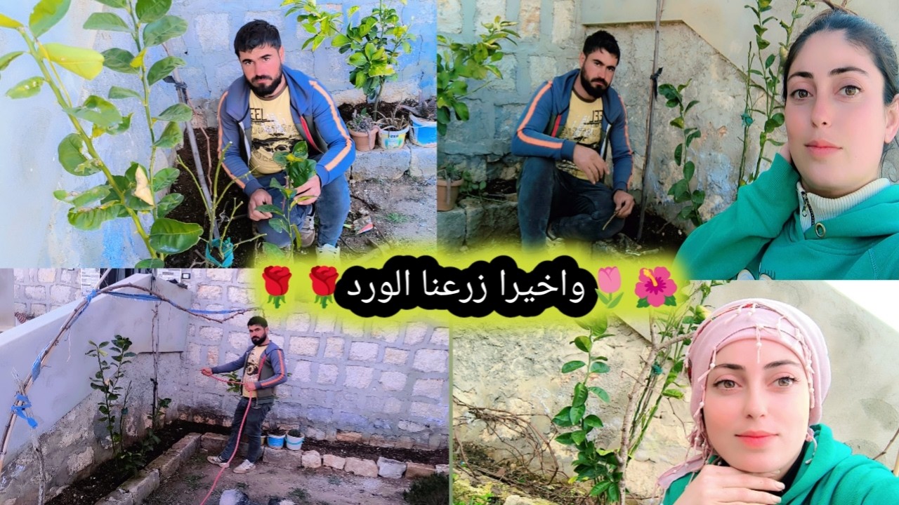 واخيرا زرعنا ورود قدام البيت طلع بجنن كان يوم متعب كثير تابعوا فيديو للاخير