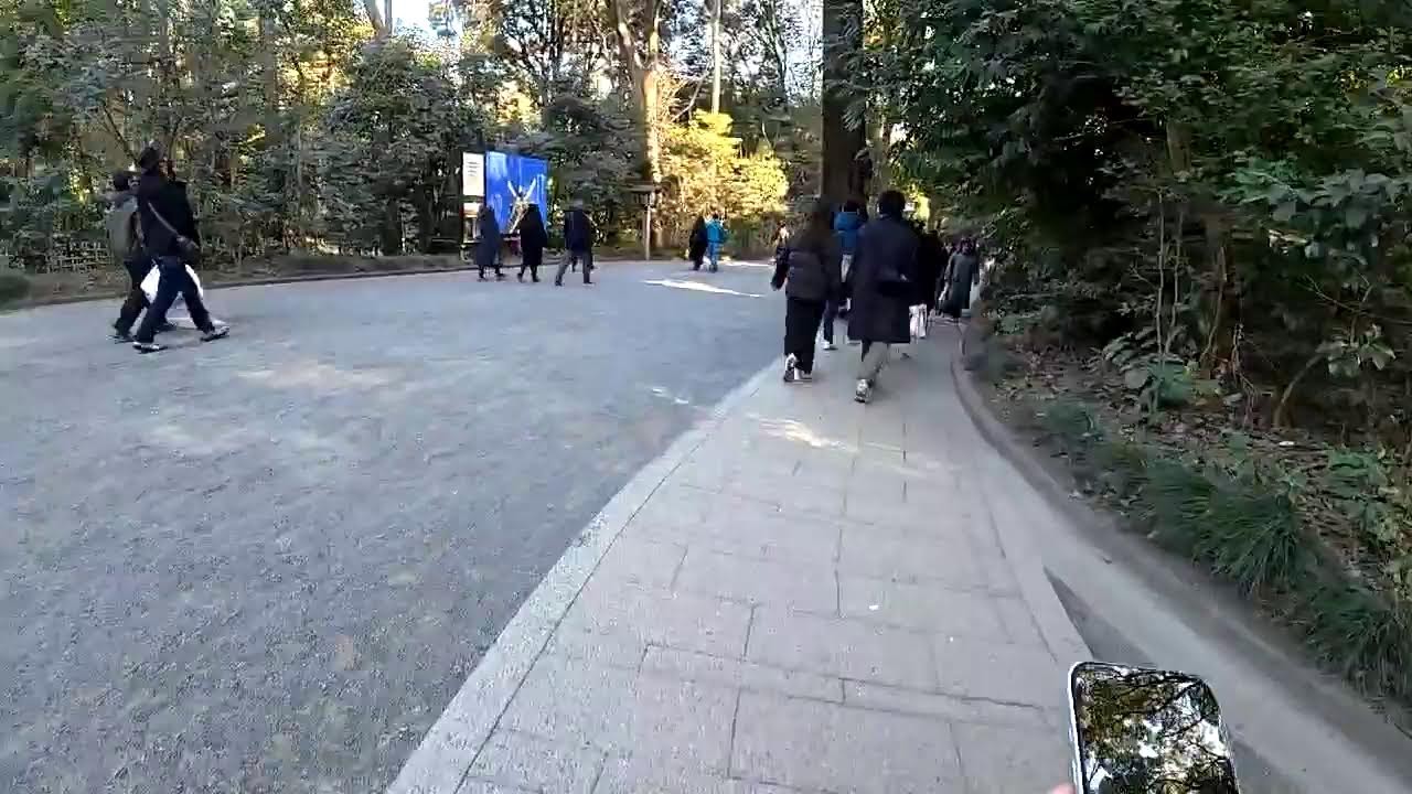 LIVE: A Peaceful Walk Through Meiji Jingu Shrine ⛩️ (Some Commentary / ASMR)