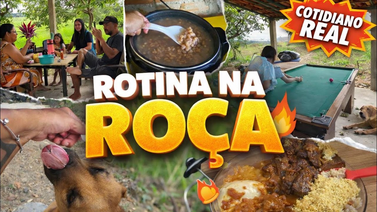 ✨ Vem viver um pedacinho dessa rotina com a gente!